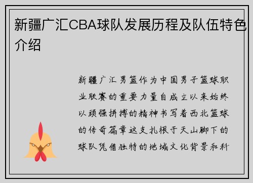 新疆广汇CBA球队发展历程及队伍特色介绍
